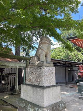 六所神社（野毛六所神社）の参拝記録(⛩️🐉🐢まめ🐢🐉⛩️さん)