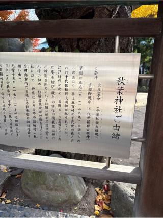 向島秋葉神社の参拝記録(⛩️🎠🐢まめ🐢🎠⛩️さん)