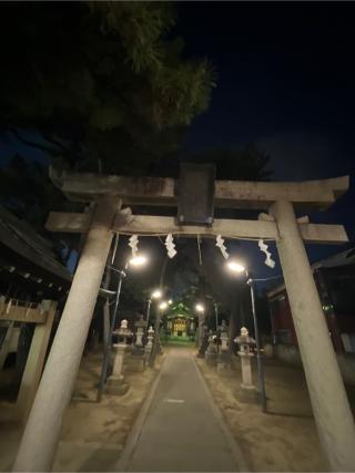 柴又八幡神社の参拝記録(⛩️🐍🐢まめ🐢🐍⛩️さん)