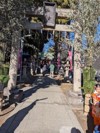 柴又八幡神社の参拝記録(まーさんさん)
