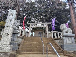 矢切神社の参拝記録(ロビンさん)