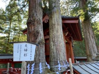 日光二荒山神社（本社）の参拝記録(智恵子さん)