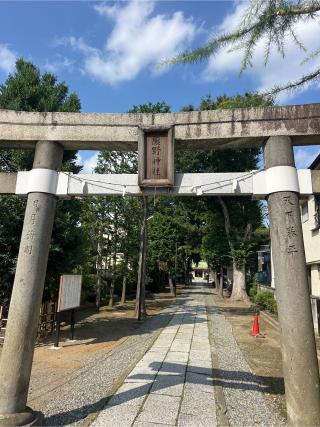 志茂熊野神社の参拝記録(⛩️🎠🐢まめ🐢🎠⛩️さん)