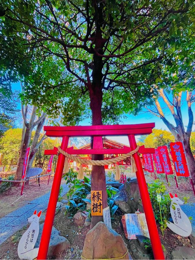 八重垣稲荷神社の参拝記録10