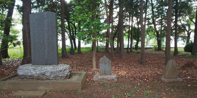 東京都小平市大沼町7-2-1 稲荷神社（大沼田稲荷神社）の写真12