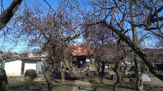 拝島天神社の参拝記録(Y.1966.Sさん)