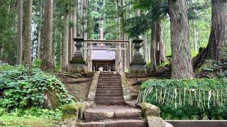 高倉神社の参拝記録(金猿さん)