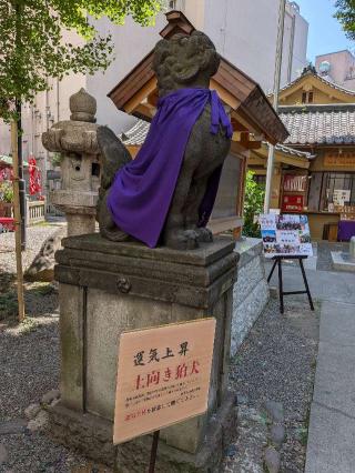 日本橋日枝神社（山王御旅所）の参拝記録(まーさんさん)