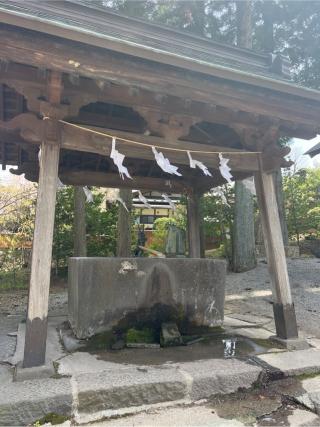 諏訪大社上社前宮の参拝記録(⛩️🐍🐢まめ🐢🐍⛩️さん)