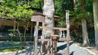 諏訪大社下社春宮の参拝記録(金猿さん)