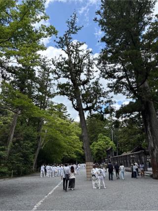 伊勢神宮 豊受大神宮（外宮）の参拝記録(⛩️🎠🐢まめ🐢🎠⛩️さん)