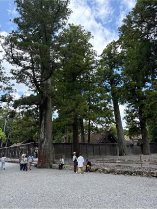 伊勢神宮 豊受大神宮（外宮）の参拝記録(⛩️🎠🐢まめ🐢🎠⛩️さん)