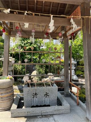 尾張猿田彦神社の参拝記録(もみじさん)