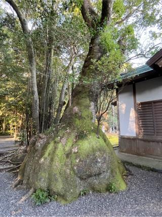 伊雜宮〔内宮（皇大神宮）別宮〕の参拝記録(ヒデさん)