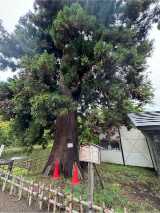 青森県護国神社の参拝記録(ひくさん)