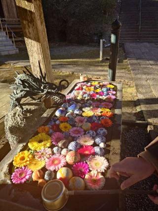 音羽山 清水寺（清水観音）の参拝記録(まーちゃんさん)