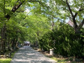 冨士御室浅間神社 奥宮の参拝記録(🧒ゆきさん)