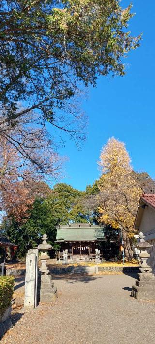 駒形神社の参拝記録(まーぼーさん)