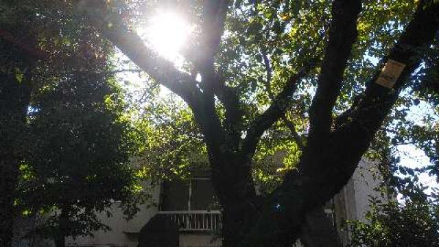 北野神社（東根北野神社）の参拝記録1