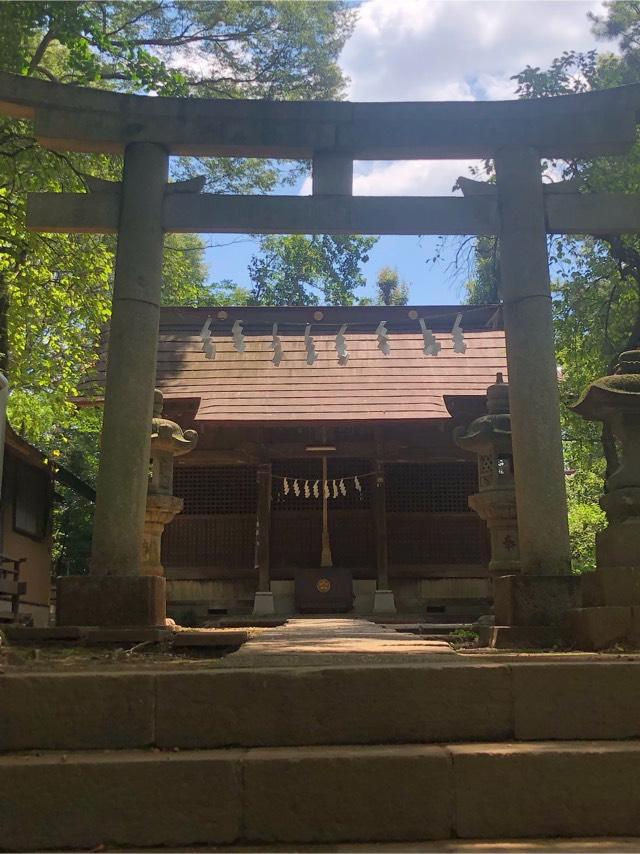 天神社（柳窪天神社）の参拝記録6
