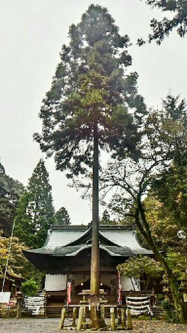 愛知県春日井市内津町２４ 内々神社の写真2