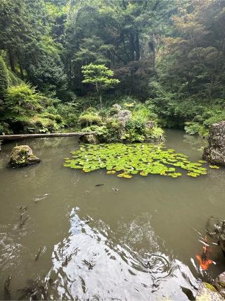 内々神社の参拝記録(skさん)