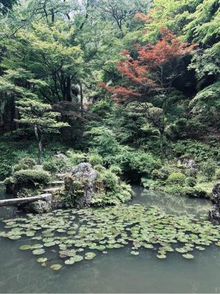 内々神社の参拝記録(やよいさん)