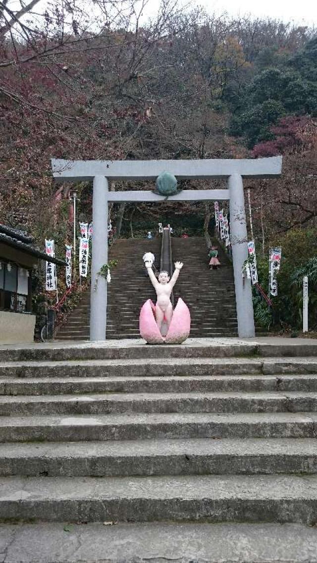 愛知県犬山市大字栗栖字大平853 桃太郎神社の写真1