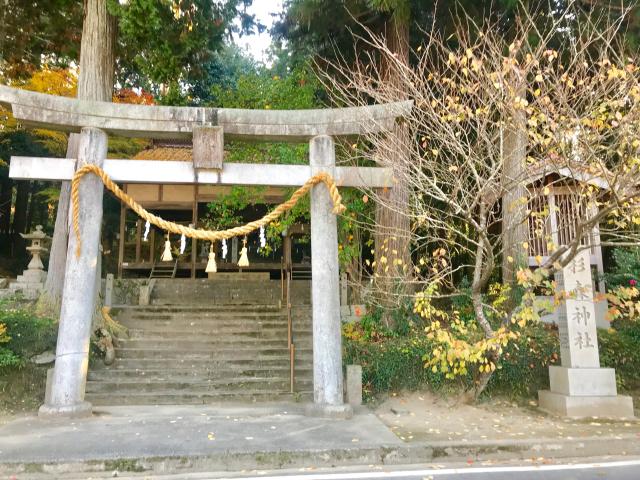 広島県東広島市河内町中河内375番 杉森神社の写真3
