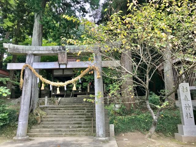 杉森神社の参拝記録4