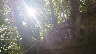 厳島神社の参拝記録(matsuyoshi49さん)