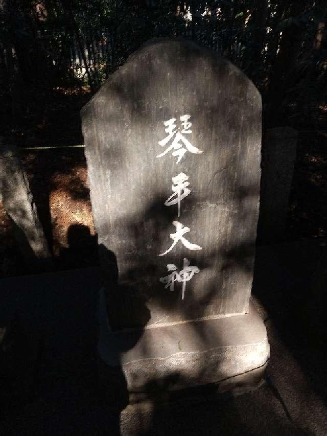 千葉県野田市桜台210 琴平神社（櫻木神社境内社）の写真2