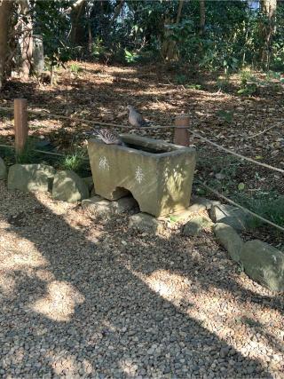 琴平神社（櫻木神社境内社）の参拝記録(もえさん)