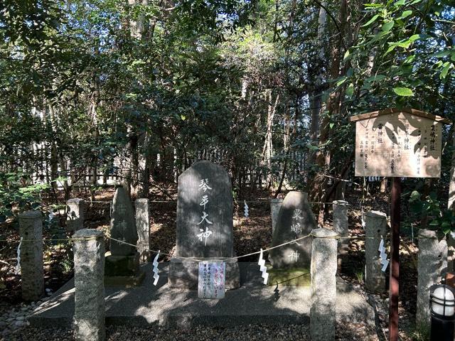 琴平神社（櫻木神社境内社）の参拝記録10