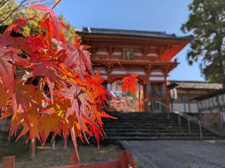 新日吉神宮の参拝記録(恭子さん)
