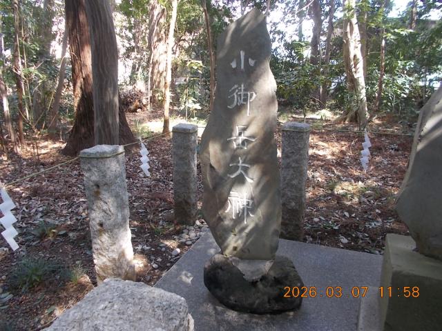 千葉県野田市桜台210 雷神社（櫻木神社境内社）の写真3