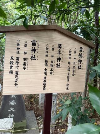 雷神社（櫻木神社境内社）の参拝記録(⛩️🎠🐢まめ🐢🎠⛩️さん)