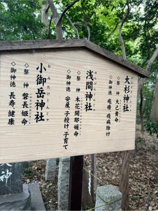 大杉神社（櫻木神社境内社）の参拝記録(⛩️🎠🐢まめ🐢🎠⛩️さん)