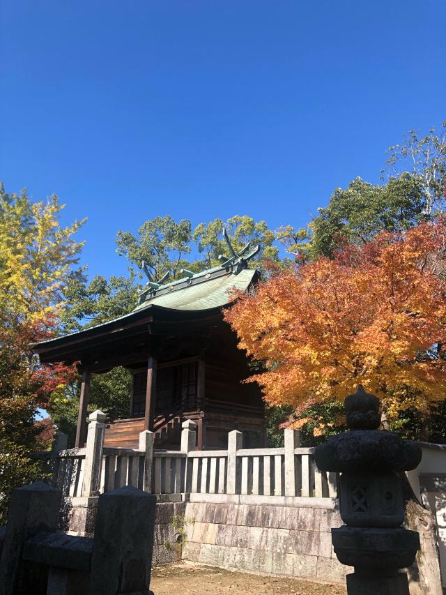 広島県東広島市西条町西条２６８ 御建神社の写真15
