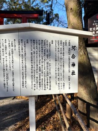河合神社（下鴨神社摂社）の参拝記録(⛩️🎠🐢まめ🐢🎠⛩️さん)