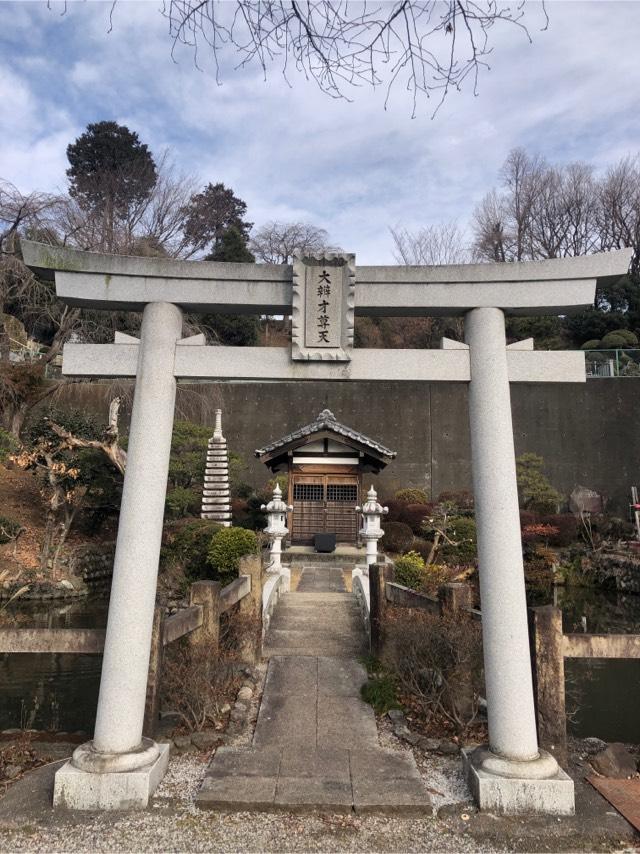 大辨才尊天（時田弁財天）の参拝記録(しゅうさん)