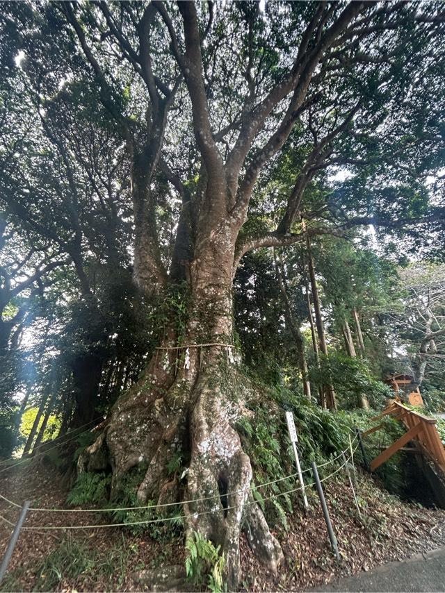 石神さん(神明神社境内)の参拝記録10
