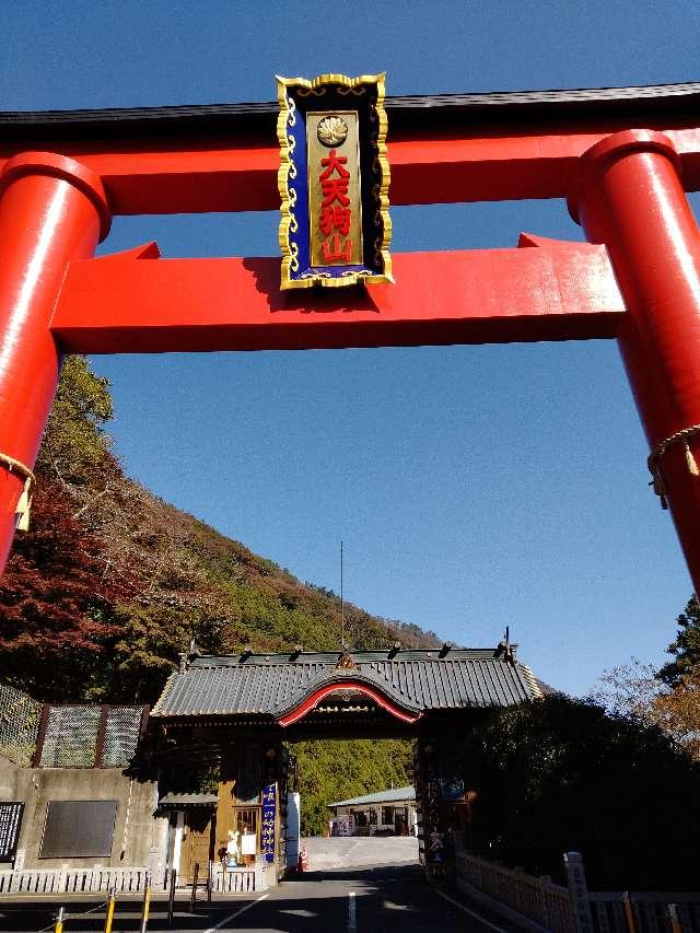 箱根大天狗山神社の参拝記録8