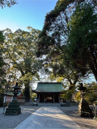 春日神社の参拝記録(ほーリンさん)