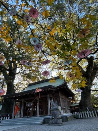 春日神社の参拝記録(ほーリンさん)
