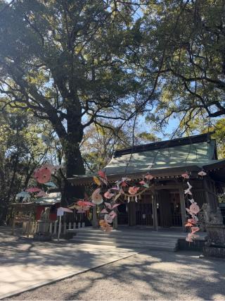 春日神社の参拝記録(みーさん)