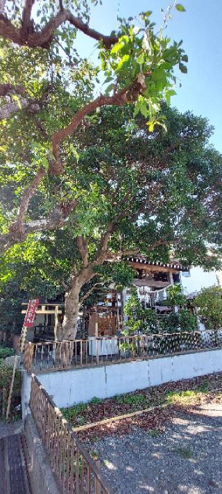 諏訪大地主神社の参拝記録(まーぼーさん)