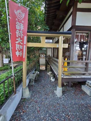 諏訪大地主神社の参拝記録(ヒロ&ダディさん)