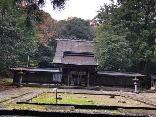 若狭彦神社上社の参拝記録(jeaekjpさん)