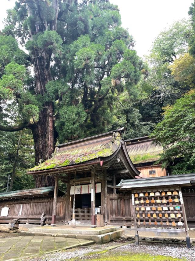 若狭姫神社の参拝記録8